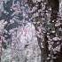 AM024